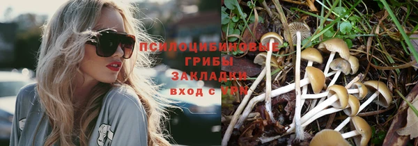 соль курить ск Вяземский