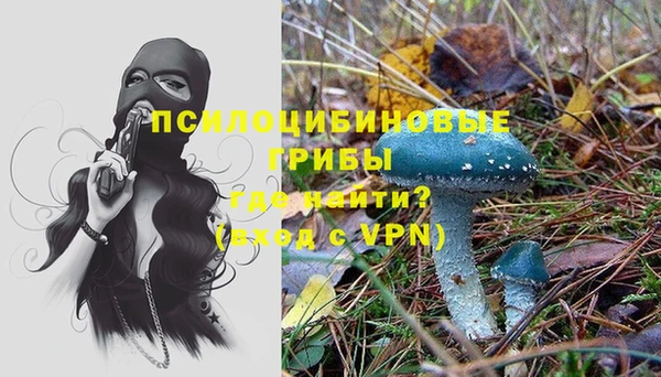 крисы Лихославль