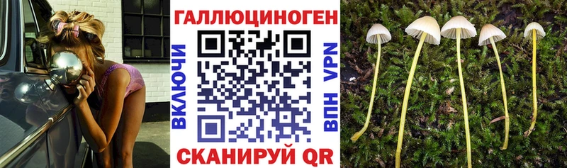 Псилоцибиновые грибы GOLDEN TEACHER  Десногорск 
