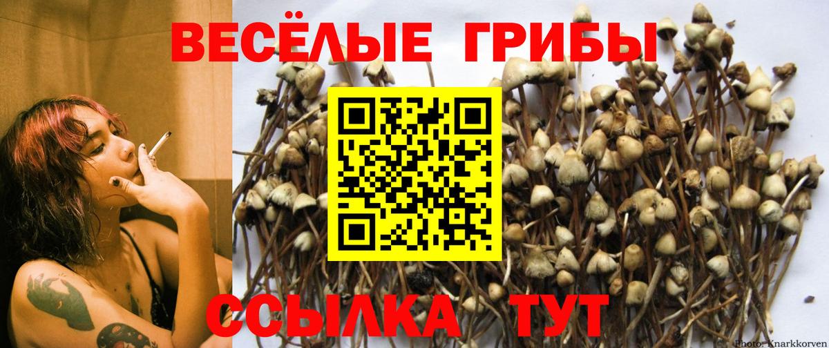 Десногорск  Псилоцибиновые грибы Magic Shrooms  закладки  Галлюциногенные грибы мицелий  Вход с VPN 