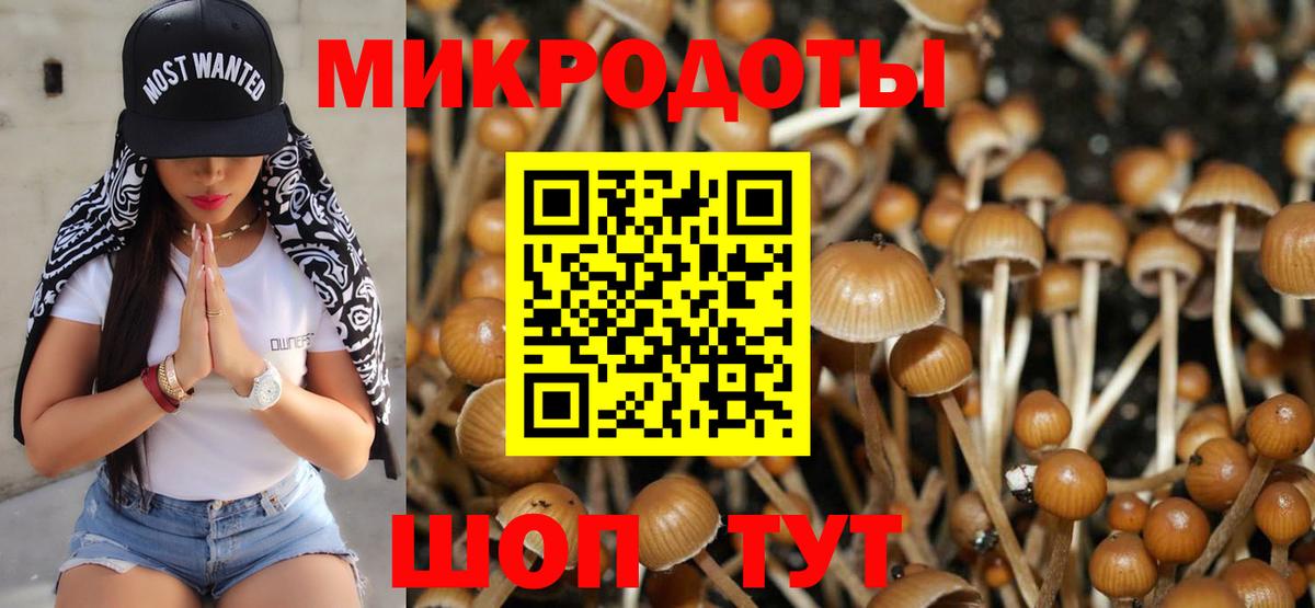 Псилоцибиновые грибы Десногорск