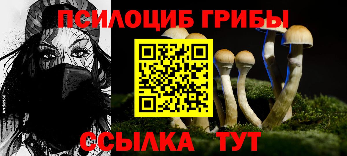 Галлюциногенные грибы прущие грибы Десногорск